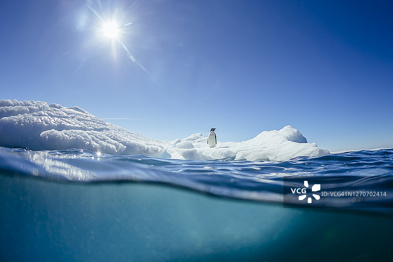 站在冰山上的孤独企鹅图片素材