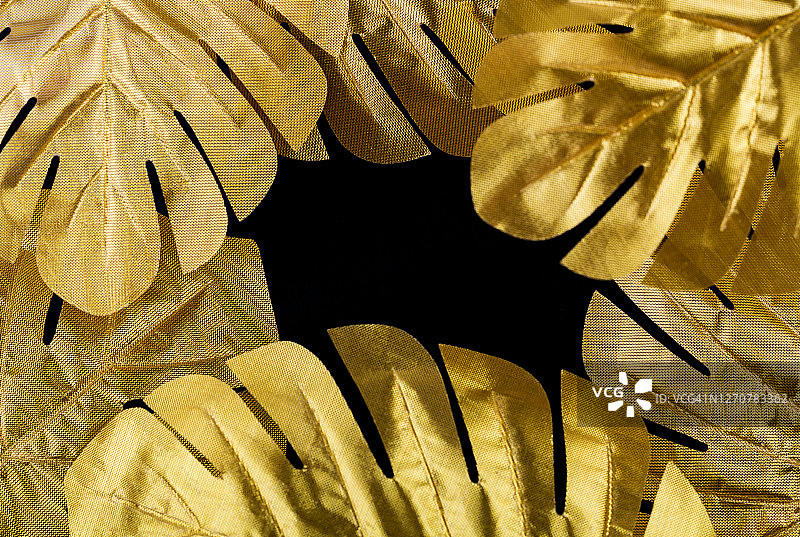 金色热带棕榈叶图片素材