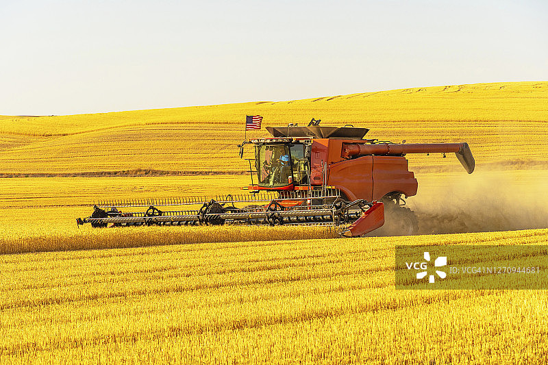 联合收割机收割麦田图片素材