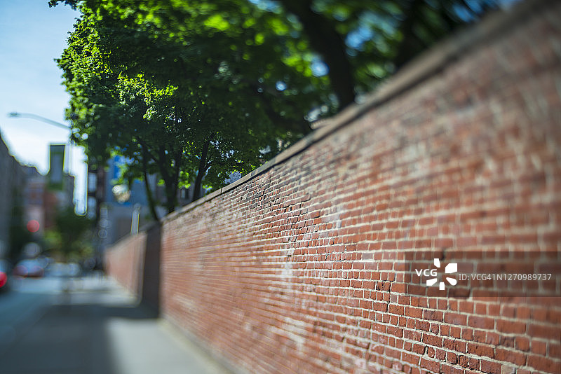 在诺丽塔，新鲜的树木覆盖着圣帕特里克老教堂的砖墙。图片素材