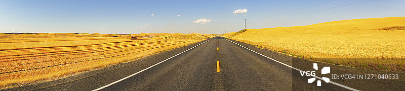 农田麦田间的乡村公路全景图片素材