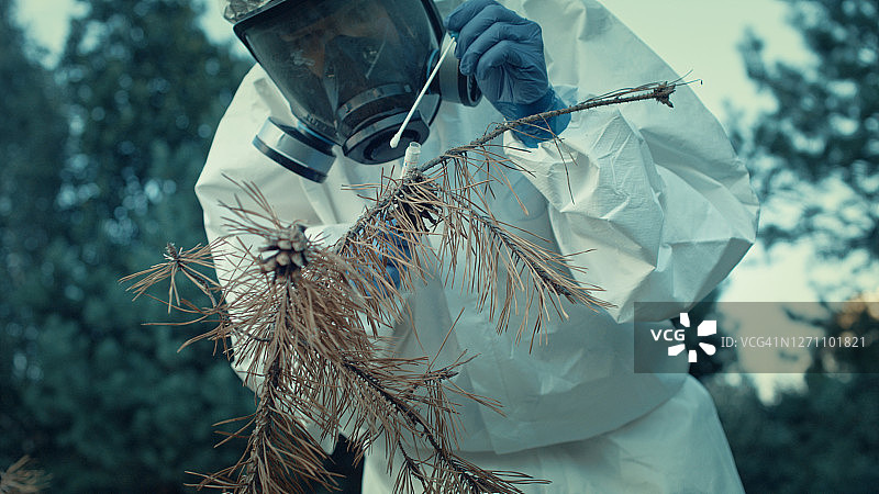 身穿防护服的女科学家在森林中寻找病原体图片素材