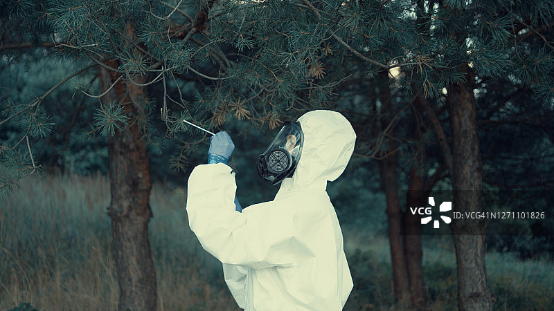 身穿防护服的女科学家在森林中寻找病原体图片素材