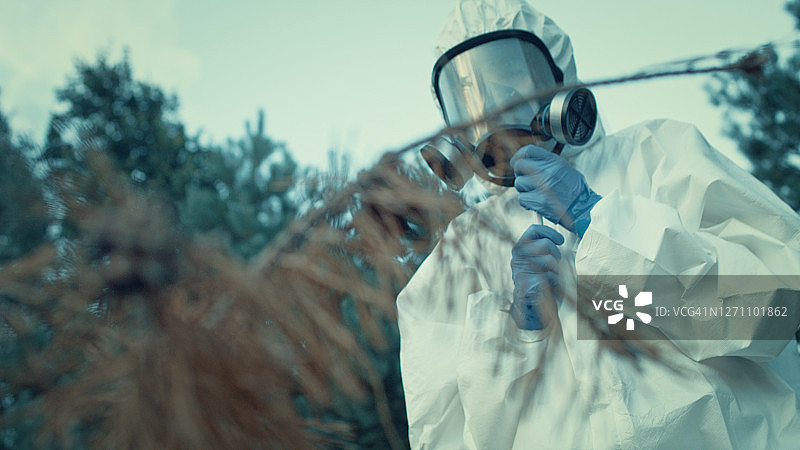 身穿防护服的女科学家在森林中寻找病原体图片素材