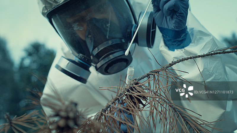 身穿防护服的女科学家在森林中寻找病原体图片素材