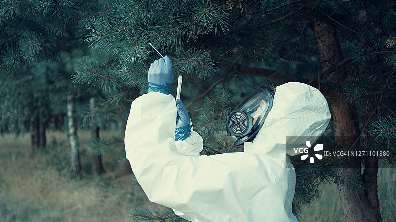 身穿防护服的女科学家在森林中寻找病原体图片素材