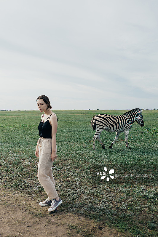 年轻女人走在田野上，斑马在旁图片素材
