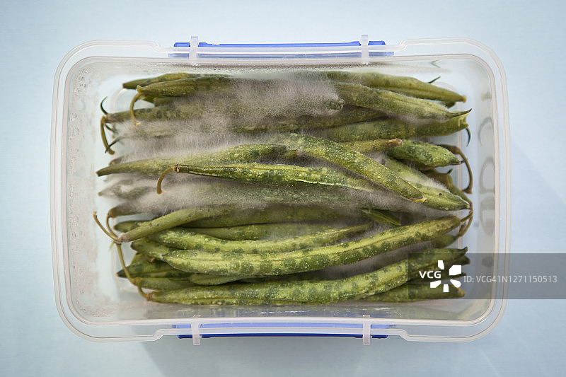 发霉的豆子图片素材