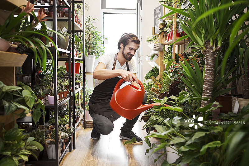 男花艺师养护植物图片素材
