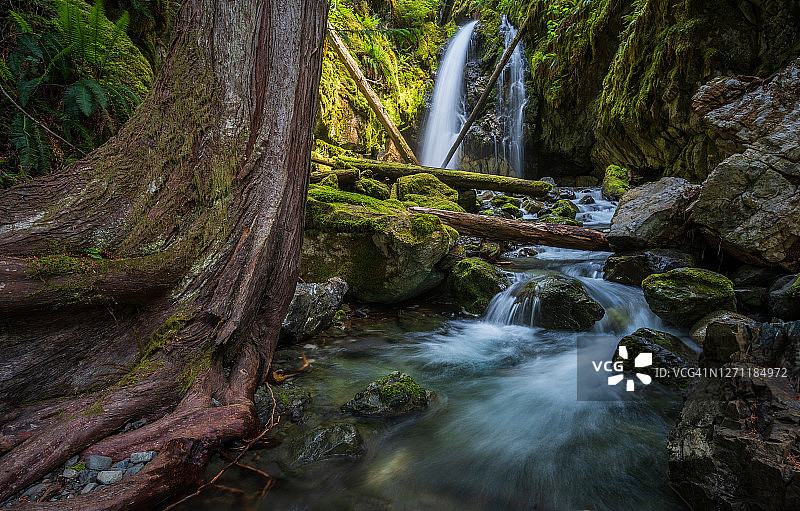 温哥华岛喀斯特克里克瀑布图片素材