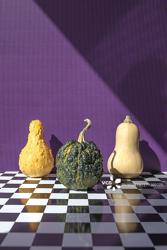 紫色背景上的三个南瓜（弯颈南瓜、胡桃南瓜和黑色麸金瓜）图片素材