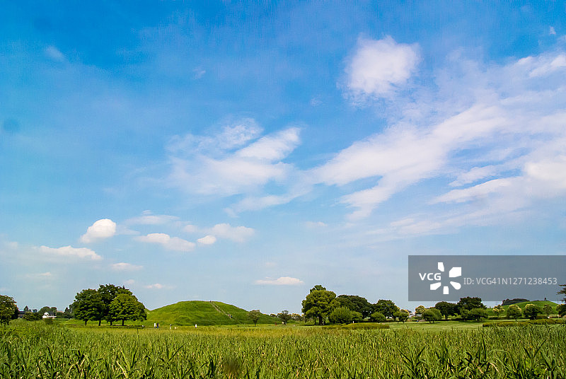 墓地公园的夏日图片素材