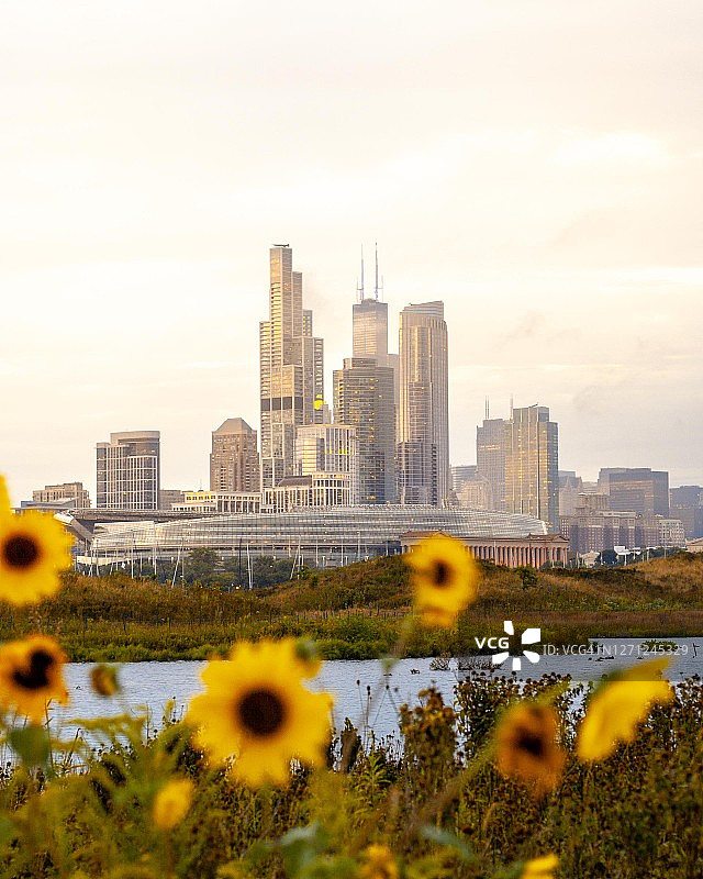 芝加哥市中心城市天际线图片素材