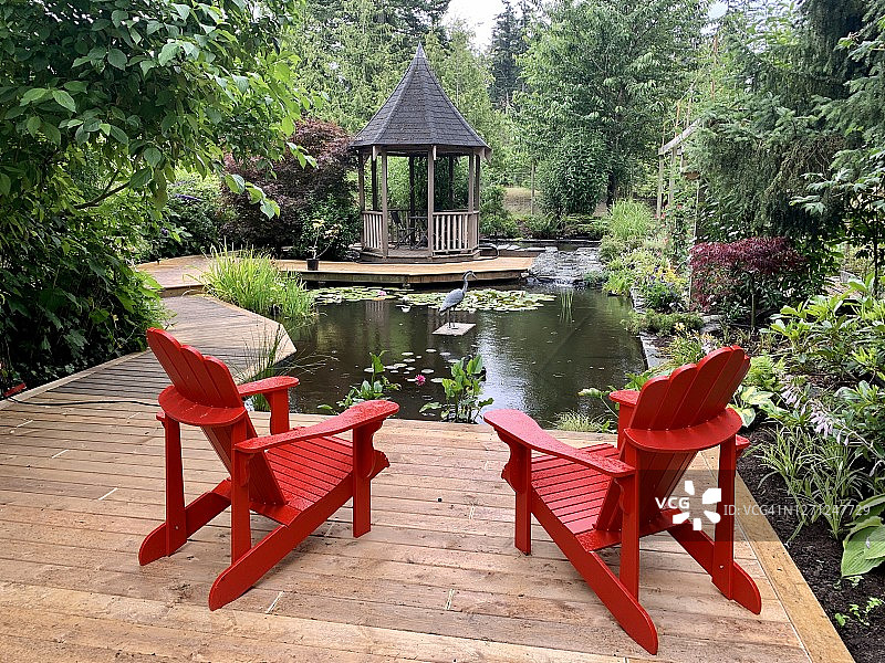 田园诗般的后院绿洲图片素材