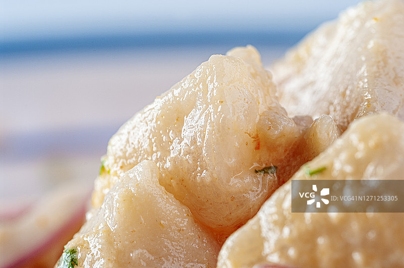 海鲜酸橘汁腌鱼图片素材