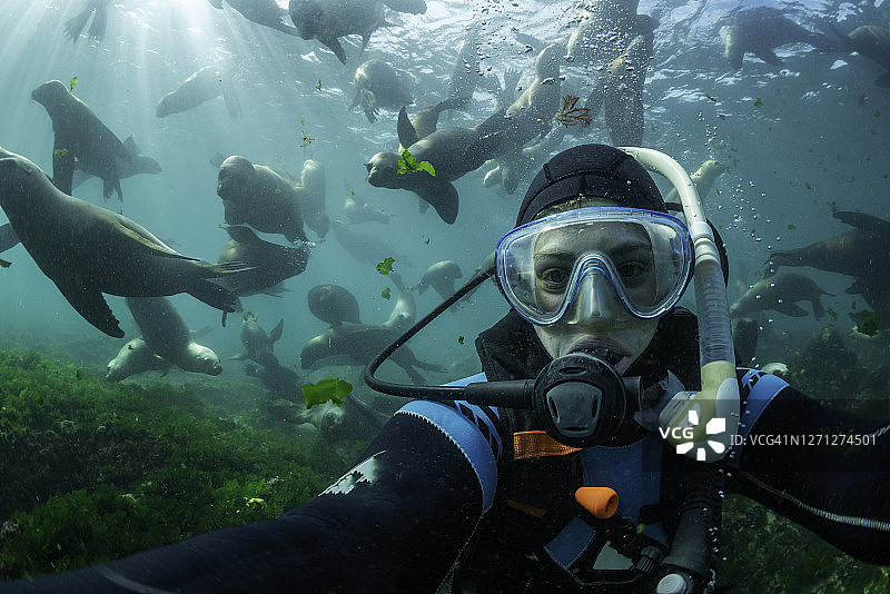 年轻女潜水员在阿根廷瓦尔德斯半岛新海湾一大群南海狮前自拍图片素材