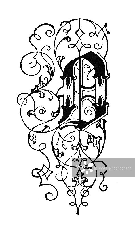 字母O装饰图案老式雕刻插图图片素材