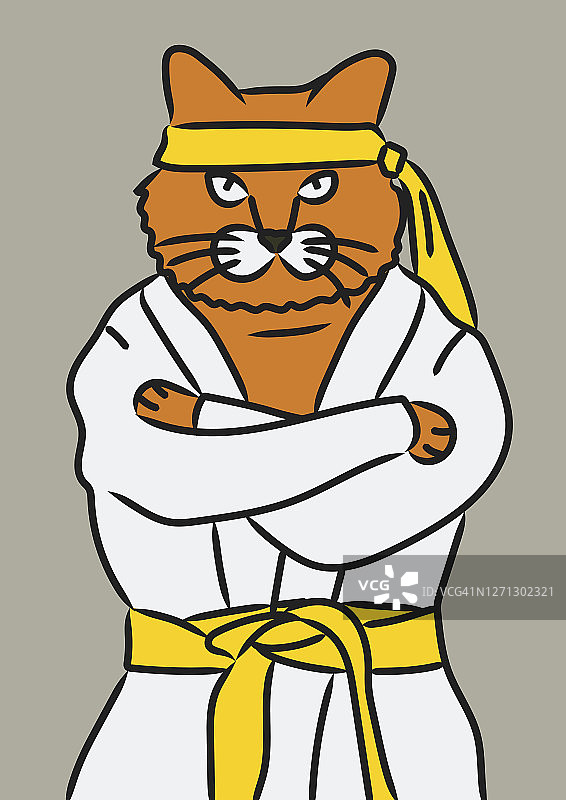 一只穿着跆拳道制服的猫图片素材