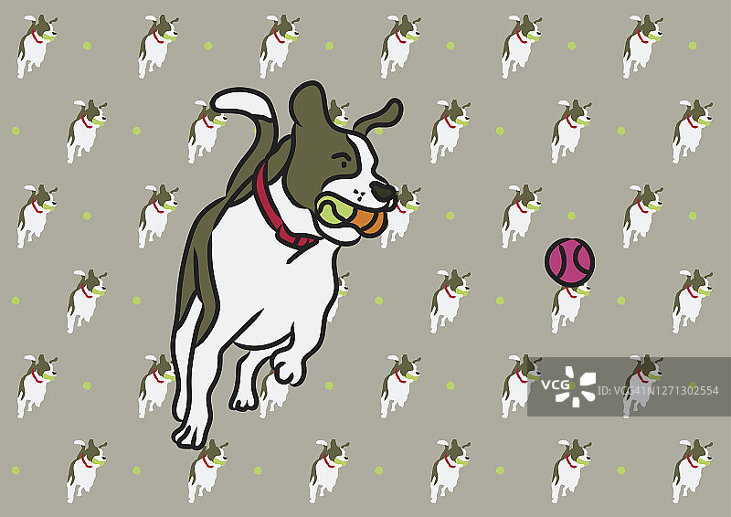 狗嘴里含着球图片素材