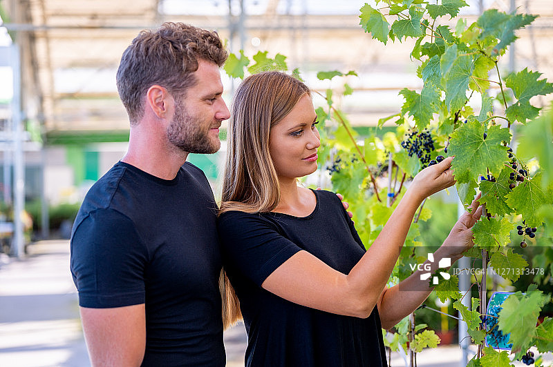 在花园中心的年轻夫妇图片素材