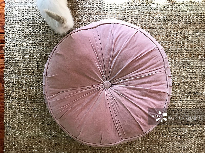 白色小猫和粉色大枕头图片素材