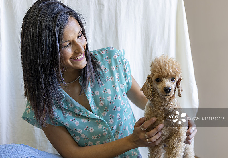 可爱的贵宾犬和它的主人图片素材