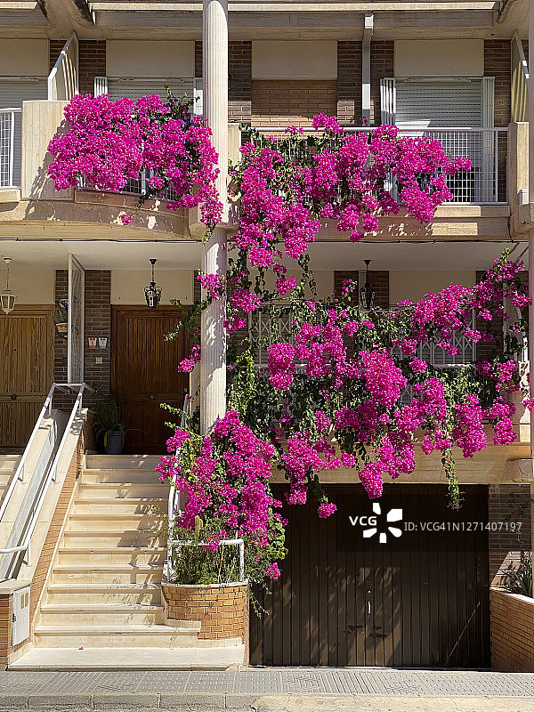 装饰复式房屋栏杆的三角梅图片素材