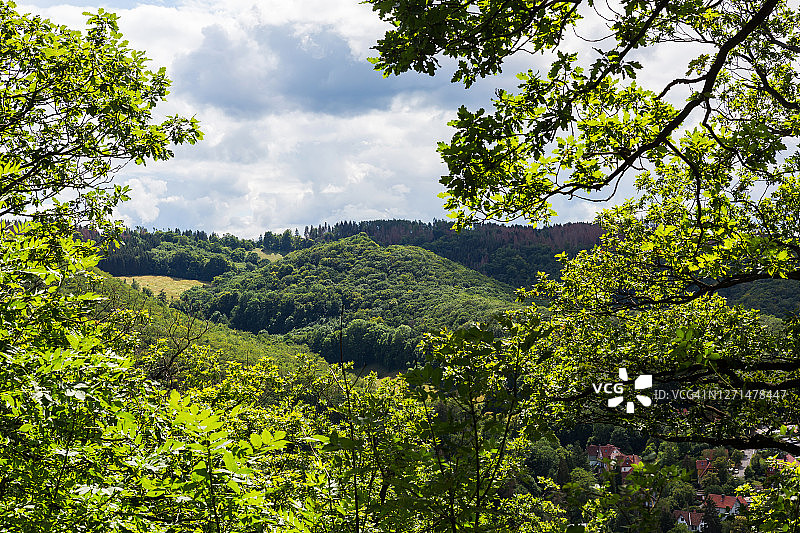 哈尔茨森林（德国萨克森-安哈尔特州）图片素材