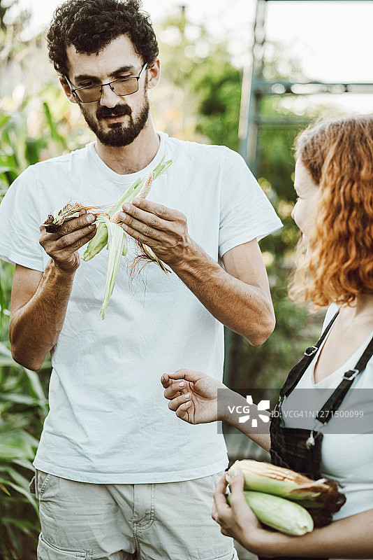 在花园里收获的企业家图片素材