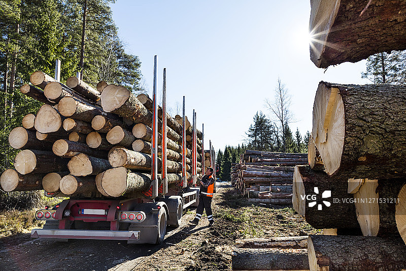 卡车拖车上的原木图片素材