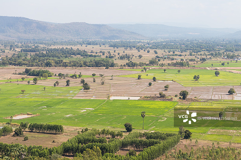 山脉上的绿色稻田图片素材