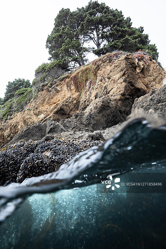 崎岖的北加利福尼亚海岸线图片素材