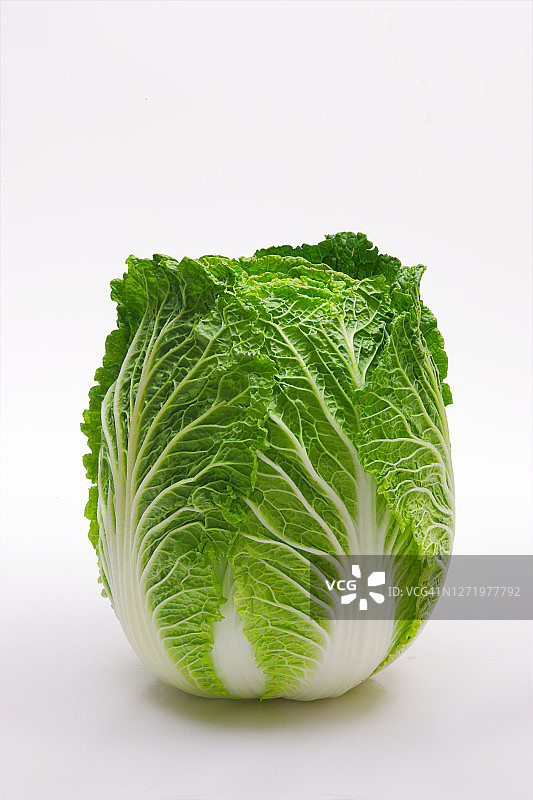 卷心菜图片素材