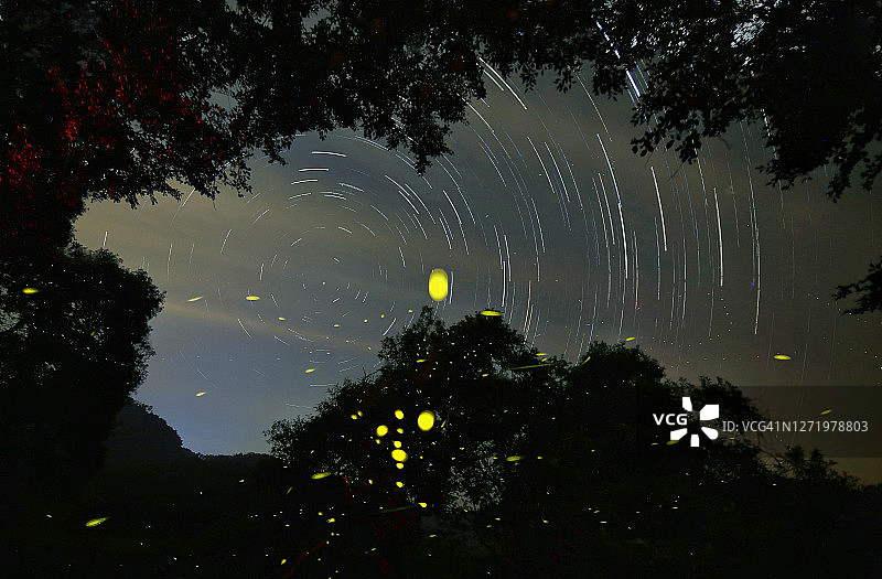 韩国锦山萤火虫图片素材