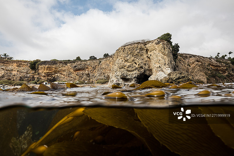 海带与Terranea海滩海蚀洞的分割景观图片素材