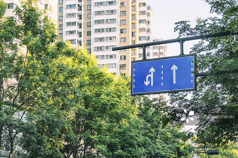 秋天，街道上叶色绚丽的栾树图片素材