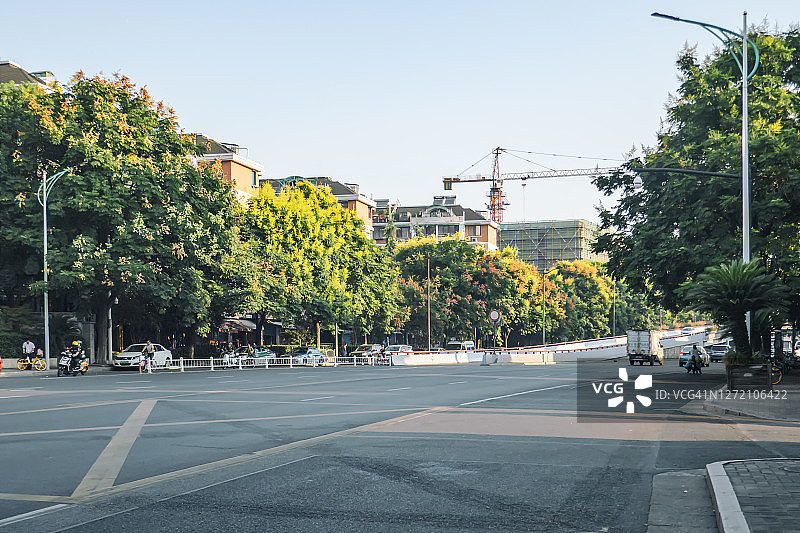 秋天，街道上叶色绚丽的栾树图片素材