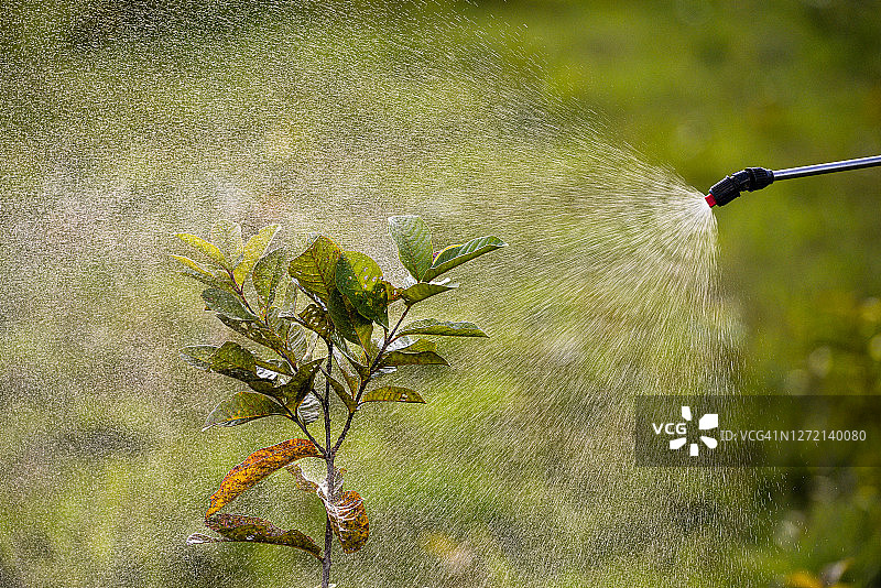 植物农药喷洒图片素材