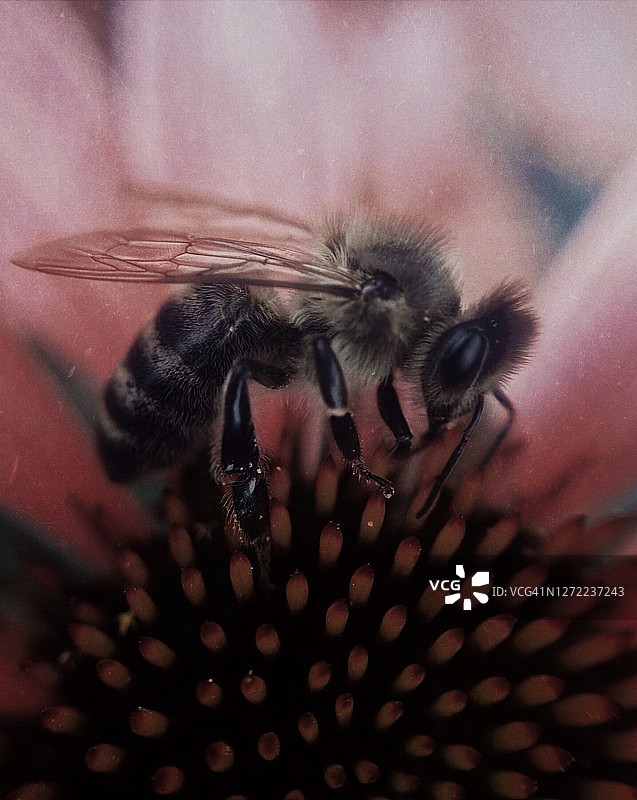 神秘自然灵感图片素材