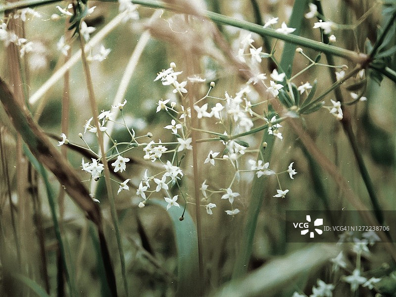 神秘自然灵感图片素材