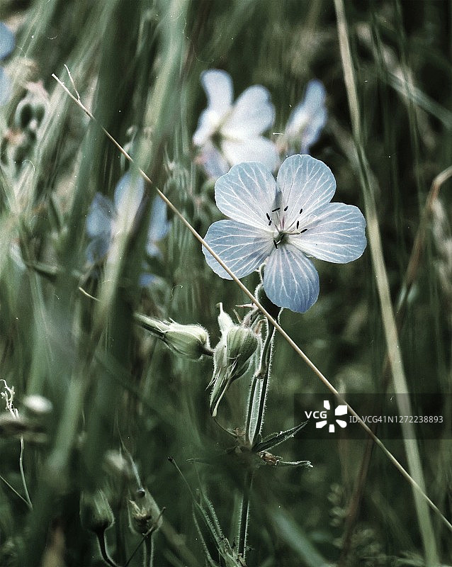 神秘自然灵感图片素材