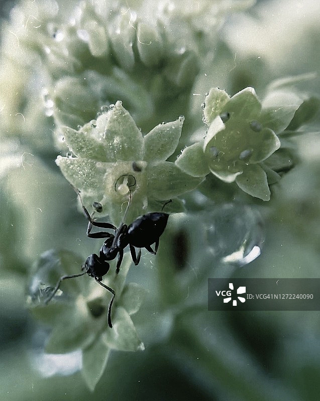 神秘自然灵感图片素材