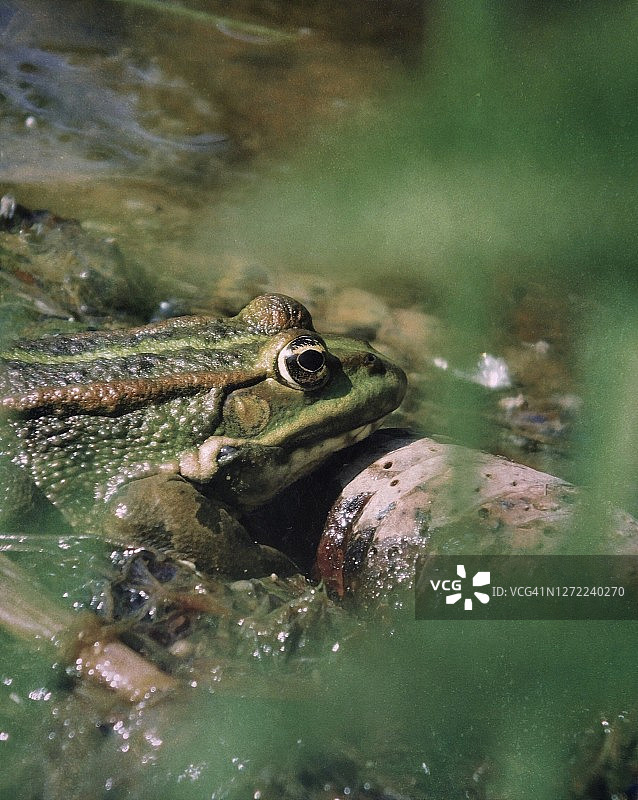 神秘自然灵感图片素材