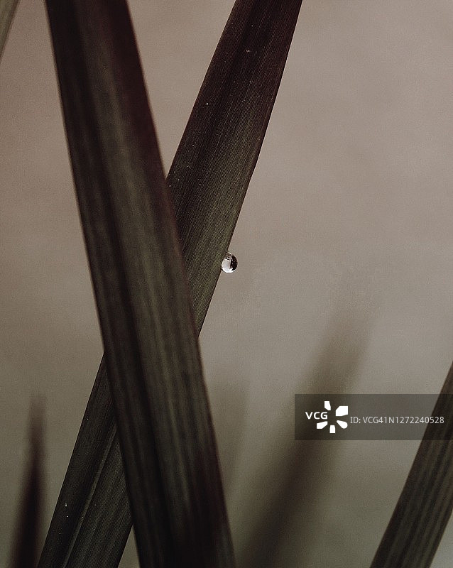 神秘自然灵感图片素材