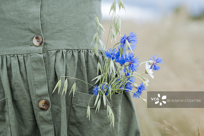 绿色连衣裙口袋里的蓝色花朵和燕麦花束图片素材