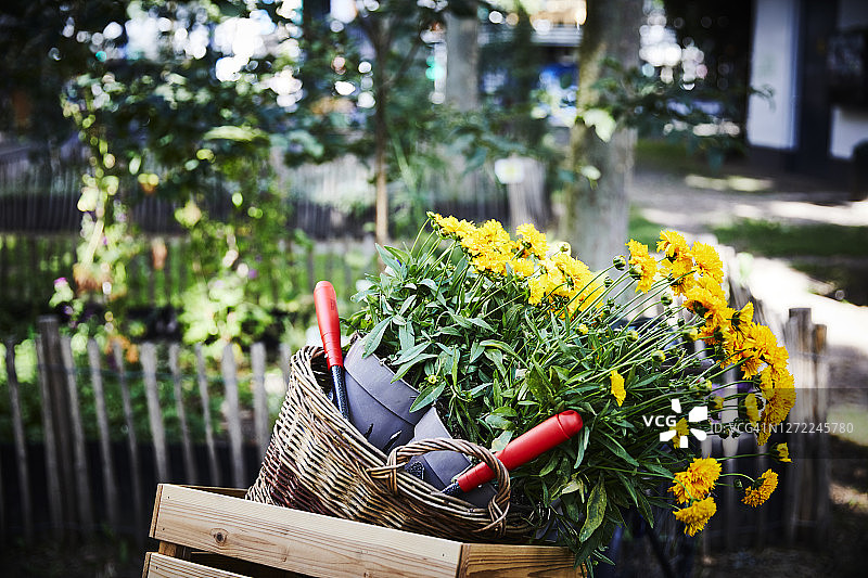 花园里的花盆、手铲、篮子和木箱图片素材