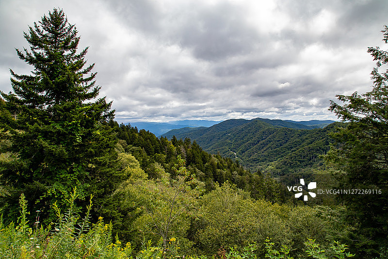田纳西州新发现峡图片素材