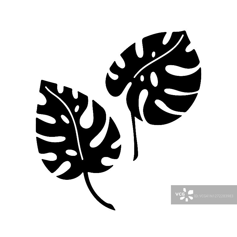 手绘热带植物树枝与绿叶图片素材