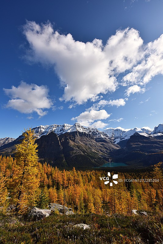 幽鹤国家公园奥哈拉湖奥达雷 grandview 徒步道图片素材