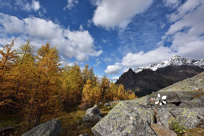 幽鹤国家公园欧帕宾高原小径和欧哈拉湖图片素材